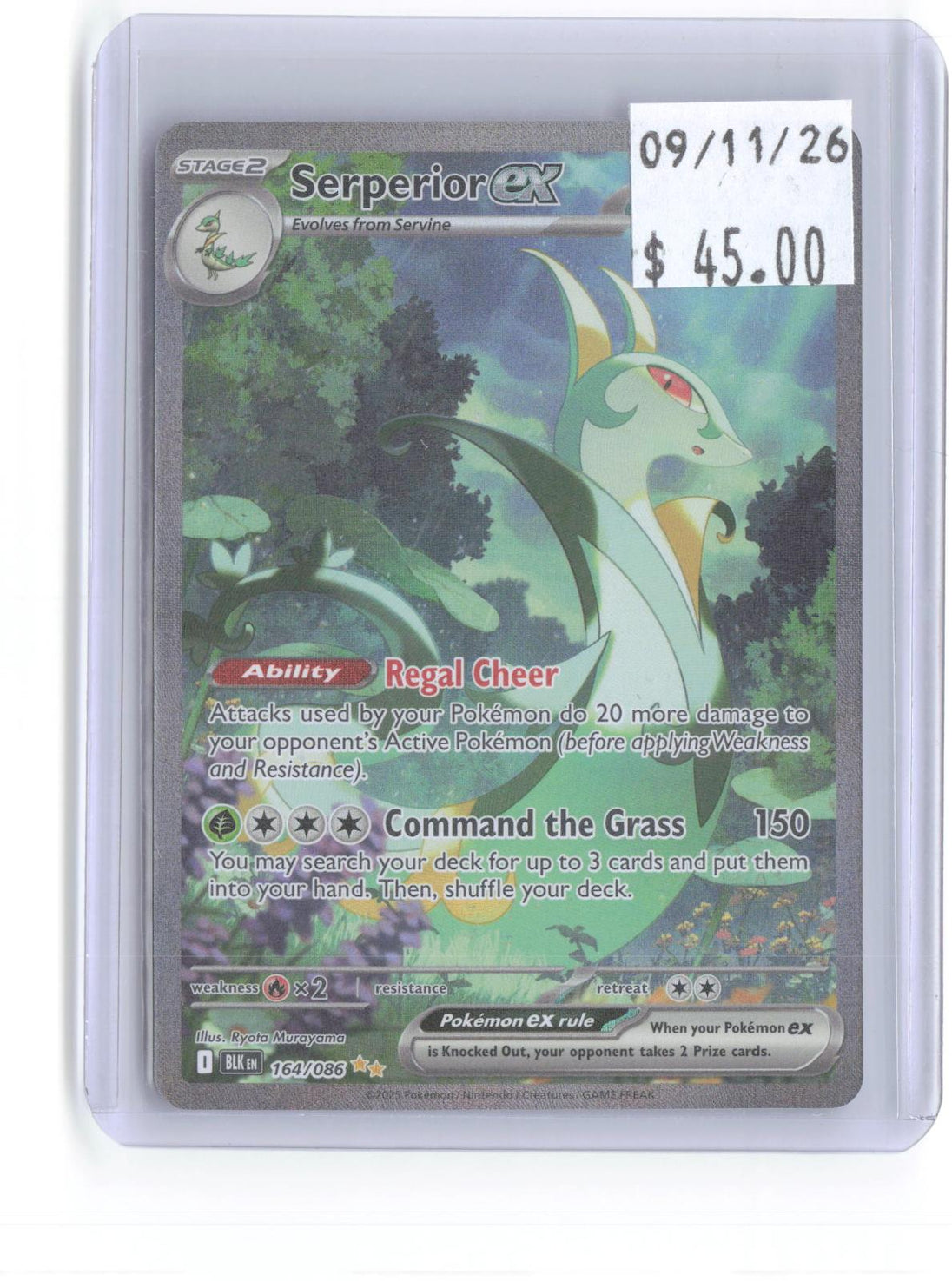 Serperior ex 164/086 Holo Special Illustration Rare Black Bolt Pokemon Near Mint