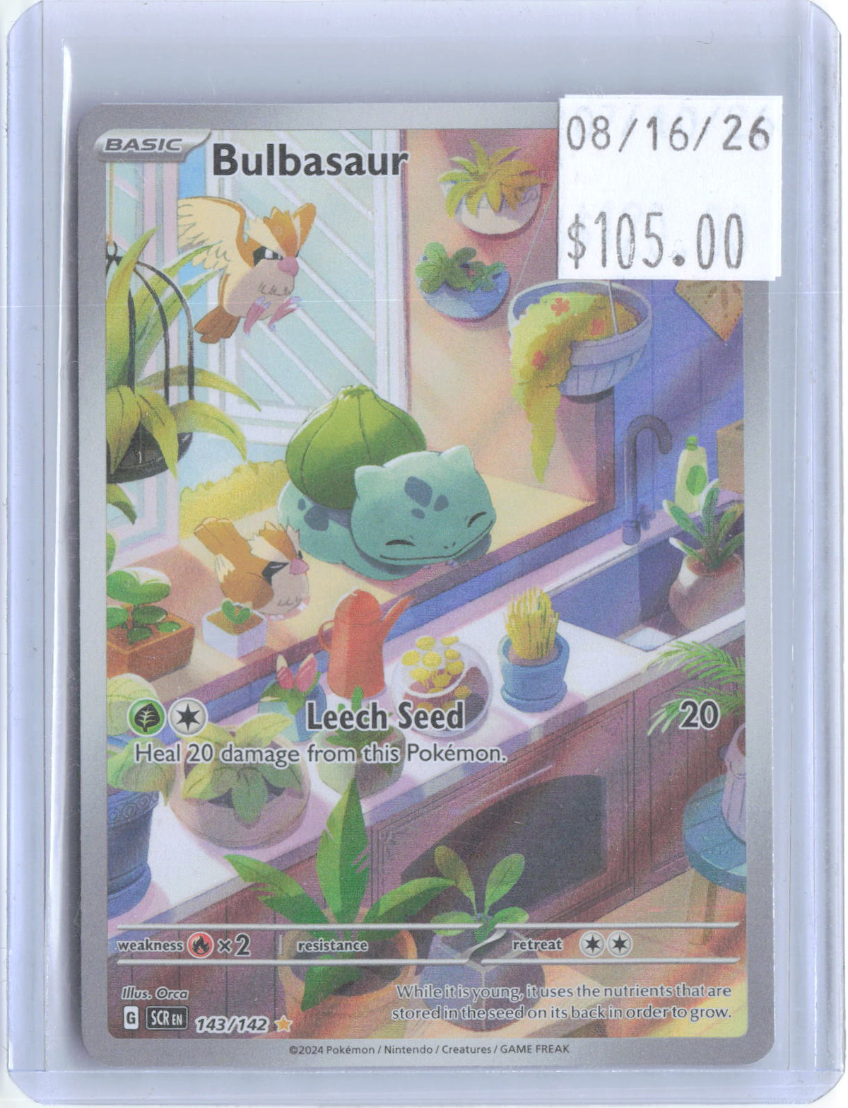 Bulbasaur 143/142 Illustration Rare Stellar Crown Pokemon Holo Near Mint