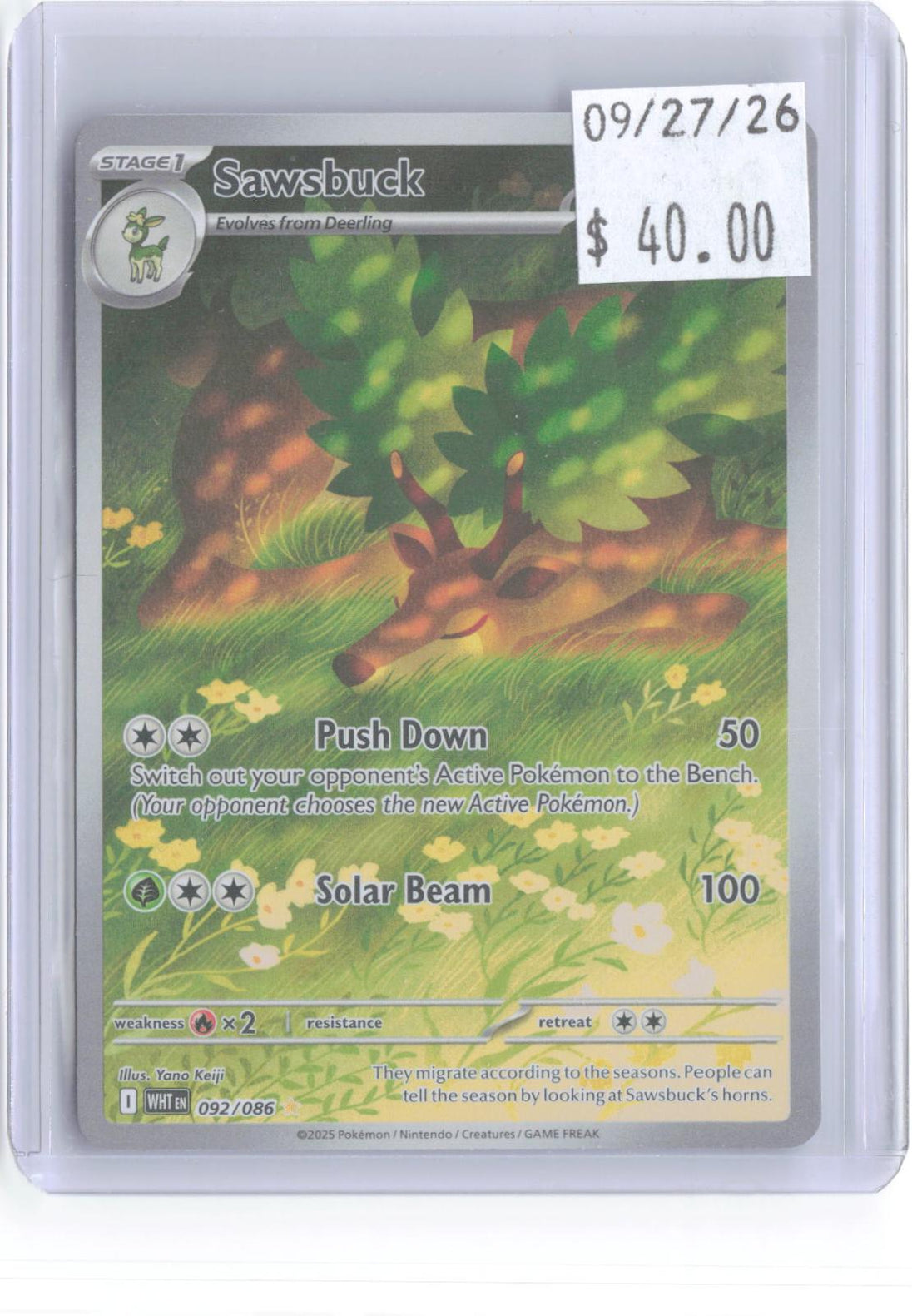 Sawsbuck 092/086 Holo Illustration Rare White Flare Pokemon Near Mint