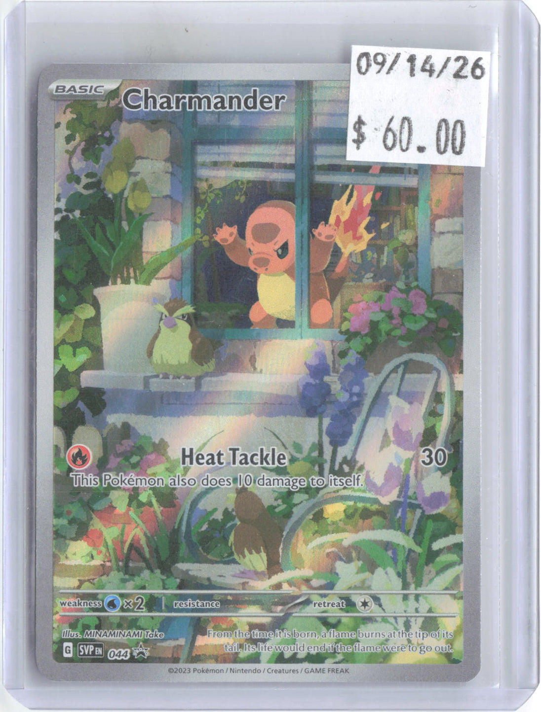 Charmander 044 Holo Promo Scarlet & Violet Promo Pokemon Near Mint