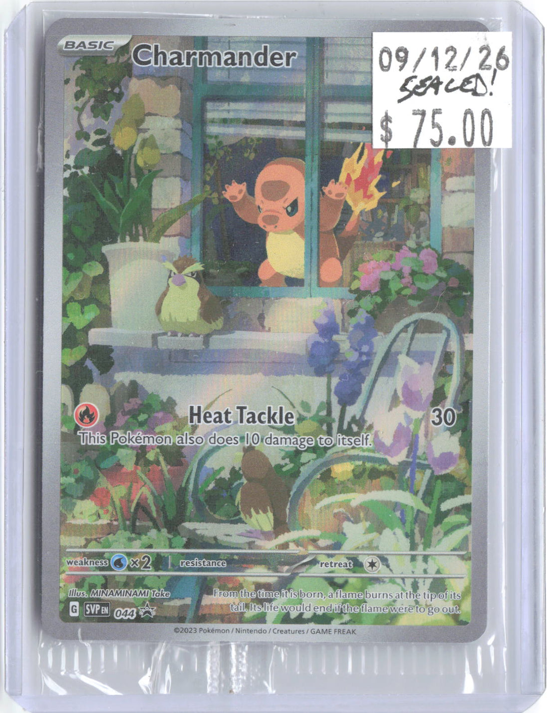 Charmander 044 Holo Promo Scarlet & Violet Promo Pokemon Near Mint