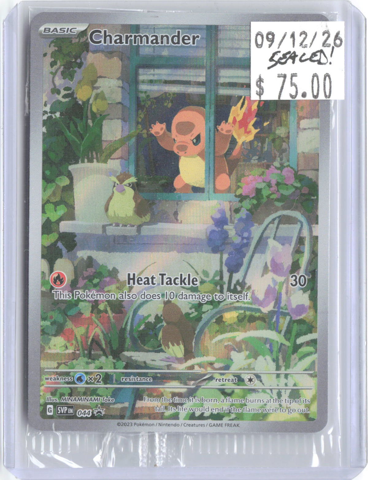 Charmander 044 Holo Promo Scarlet & Violet Promo Pokemon Near Mint